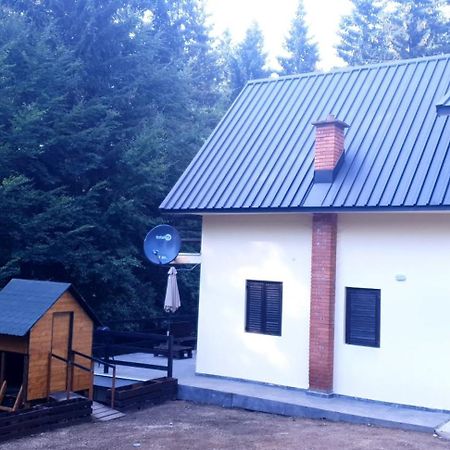 Villa Mladenovic Kuca à Kopaonik Extérieur photo