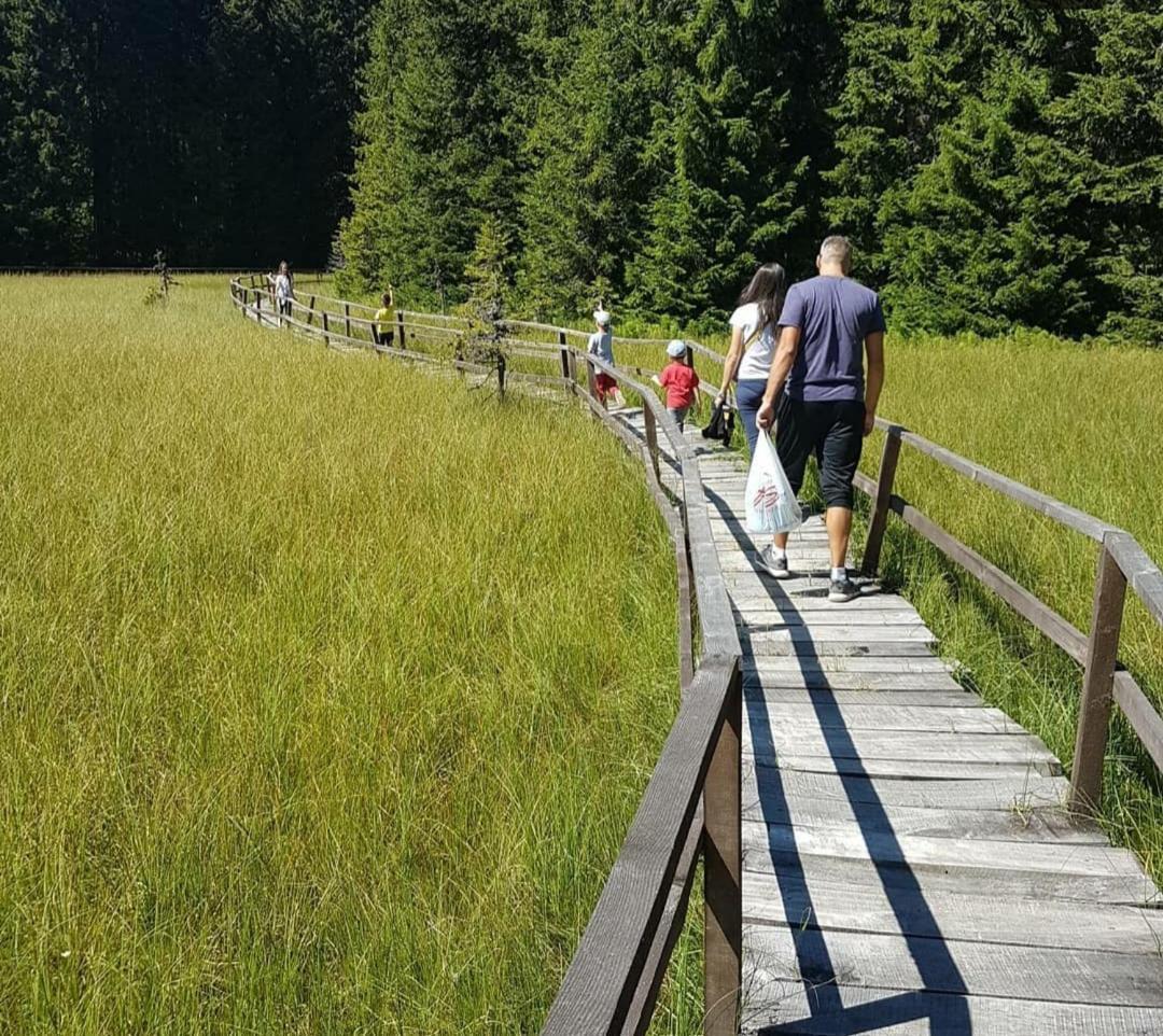 Villa Mladenovic Kuca à Kopaonik Extérieur photo